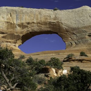 Arches National Park.